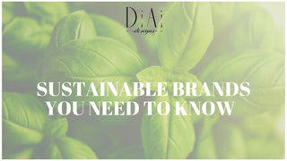 How Can You Be an Eco-Warrior Everyday