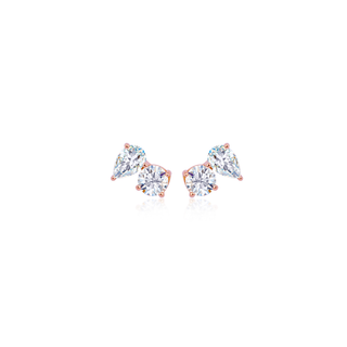 Paradoxical Love Earrings